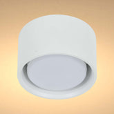 GX53 негізі бар заманауи төбелік жарықтандырғыш 71231