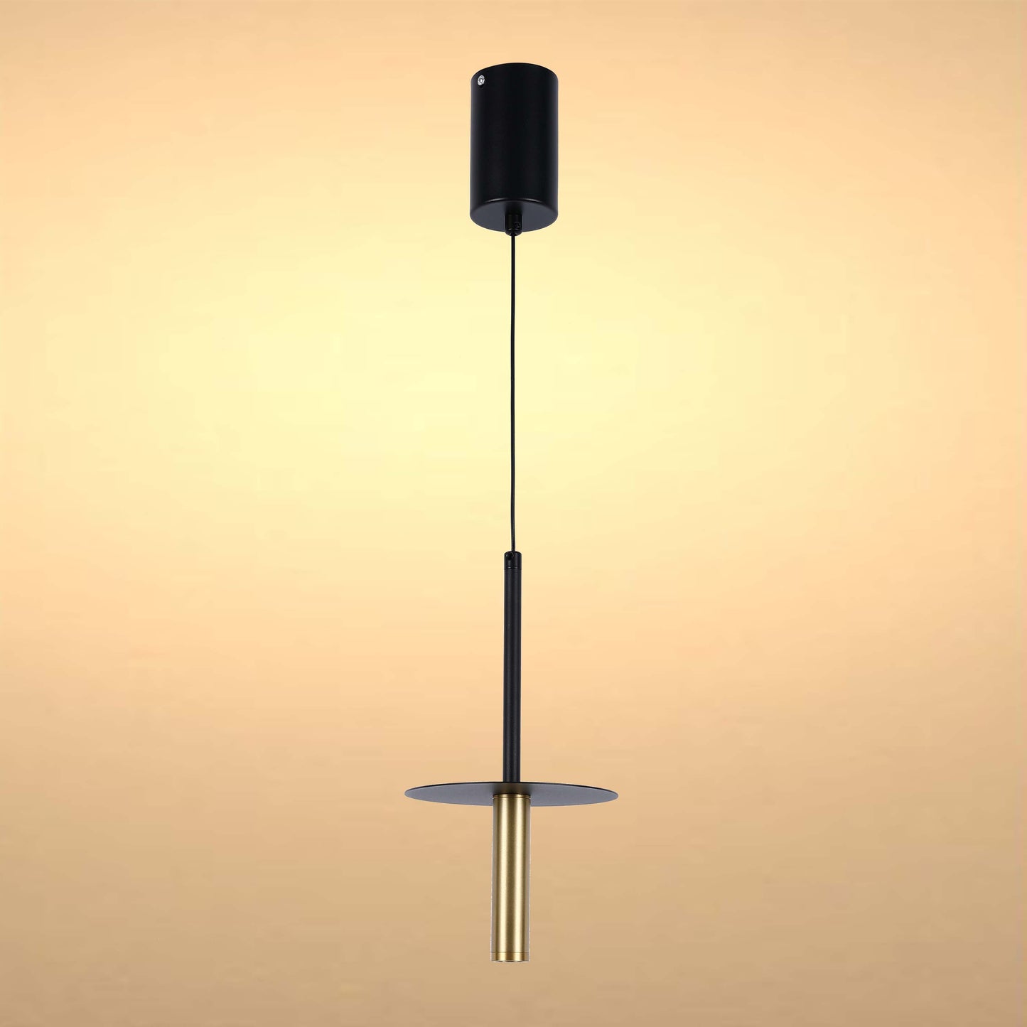Geometric Hat Plate Suspension Light Single Head Hanging Lamp Integrated LED Modern Cylinder Pendant Ceiling Light Suspended Downlight