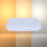 LED Flush Ceiling Light TEKLED Sv-k LED NIKA SQUARE 25W 3CCT IP44 (TEKLED)--118-033911