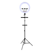 Напольный LED-Светильник MFSL (Кольцевая Лампа)