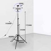 Напольный LED-Светильник MFSL (Кольцевая Лампа)