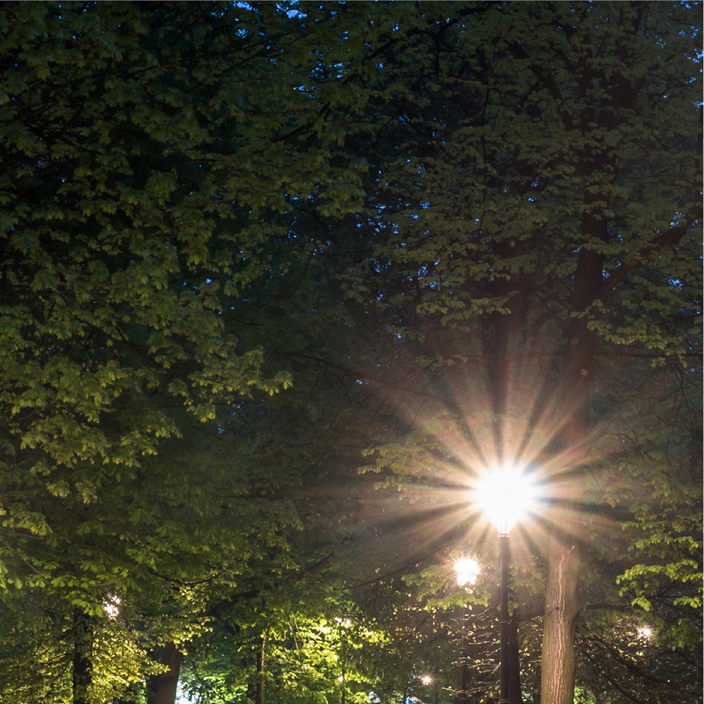 Парковый LED Светильник LOTUS (70W, 5000K)