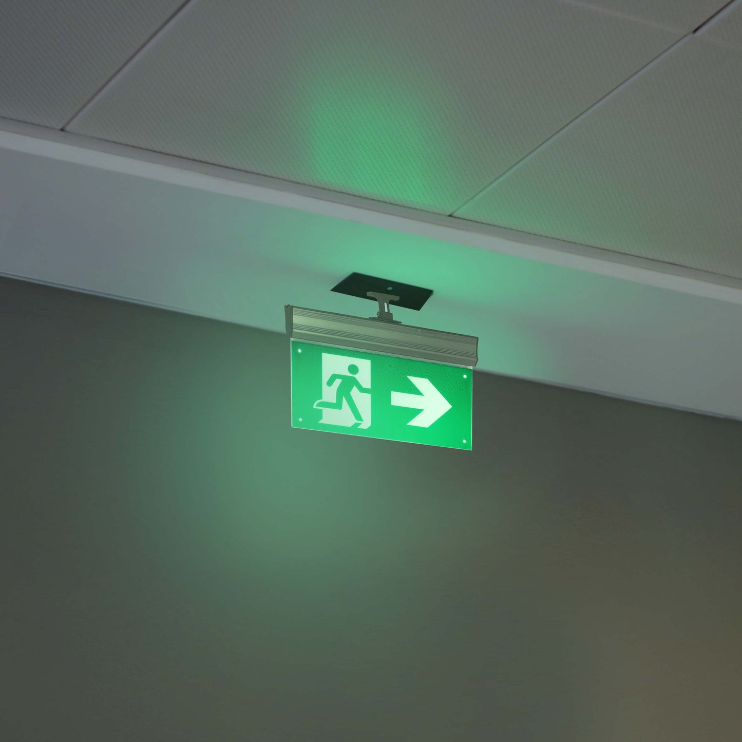 Аварийный световой указатель LT-46360