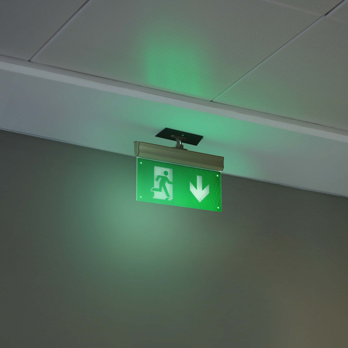 Аварийный световой указатель LT-46360