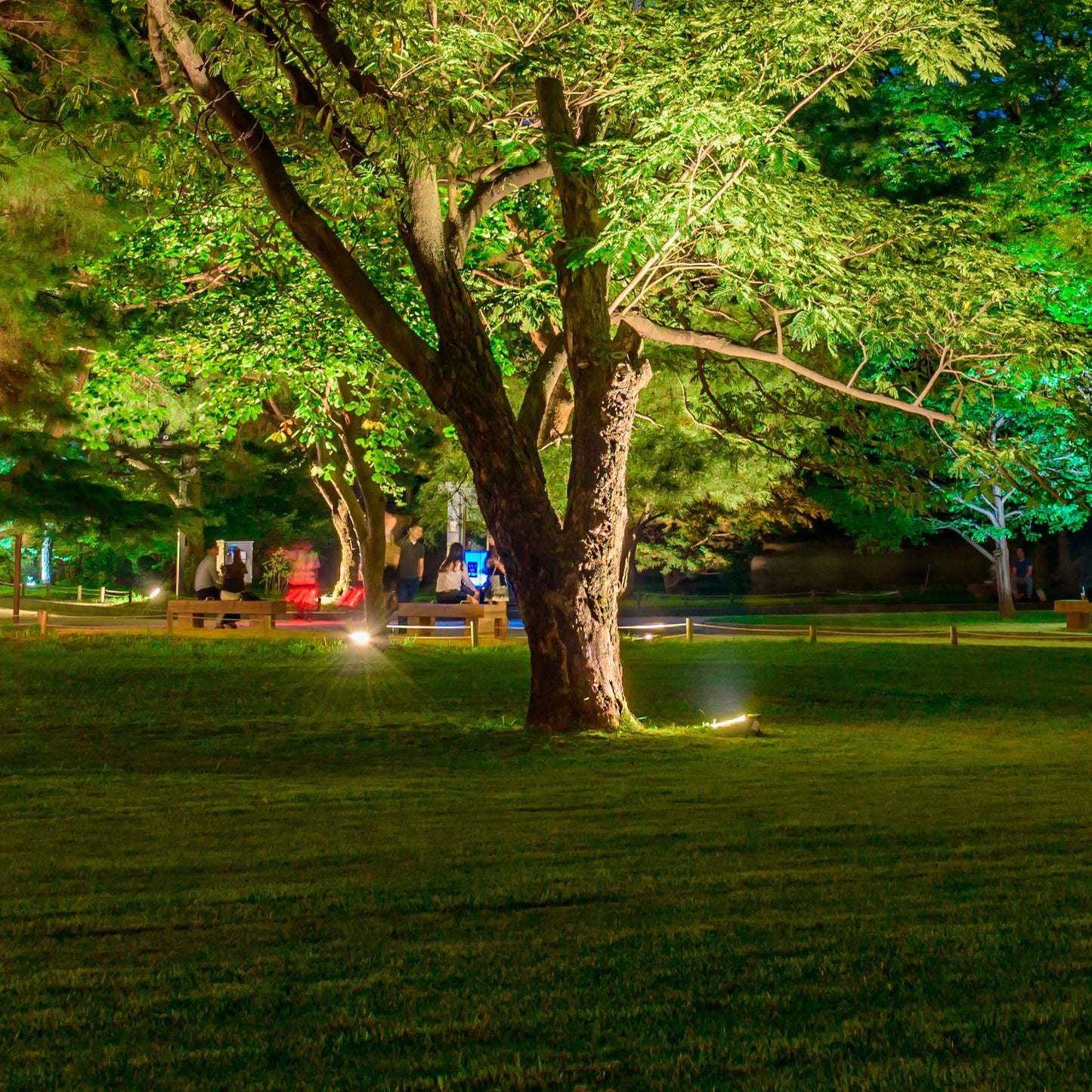 LED Прожектор LQ COB (Серый, IP65)