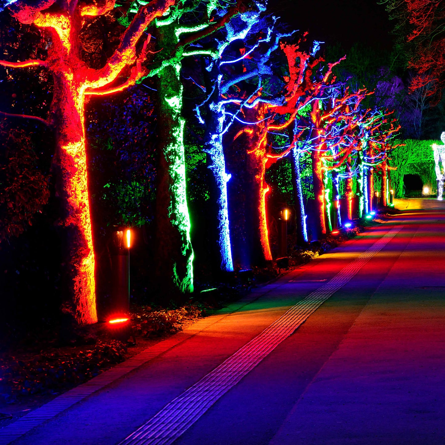 Прожектор LED DOB RGB (30W/50W, Black, IP65)