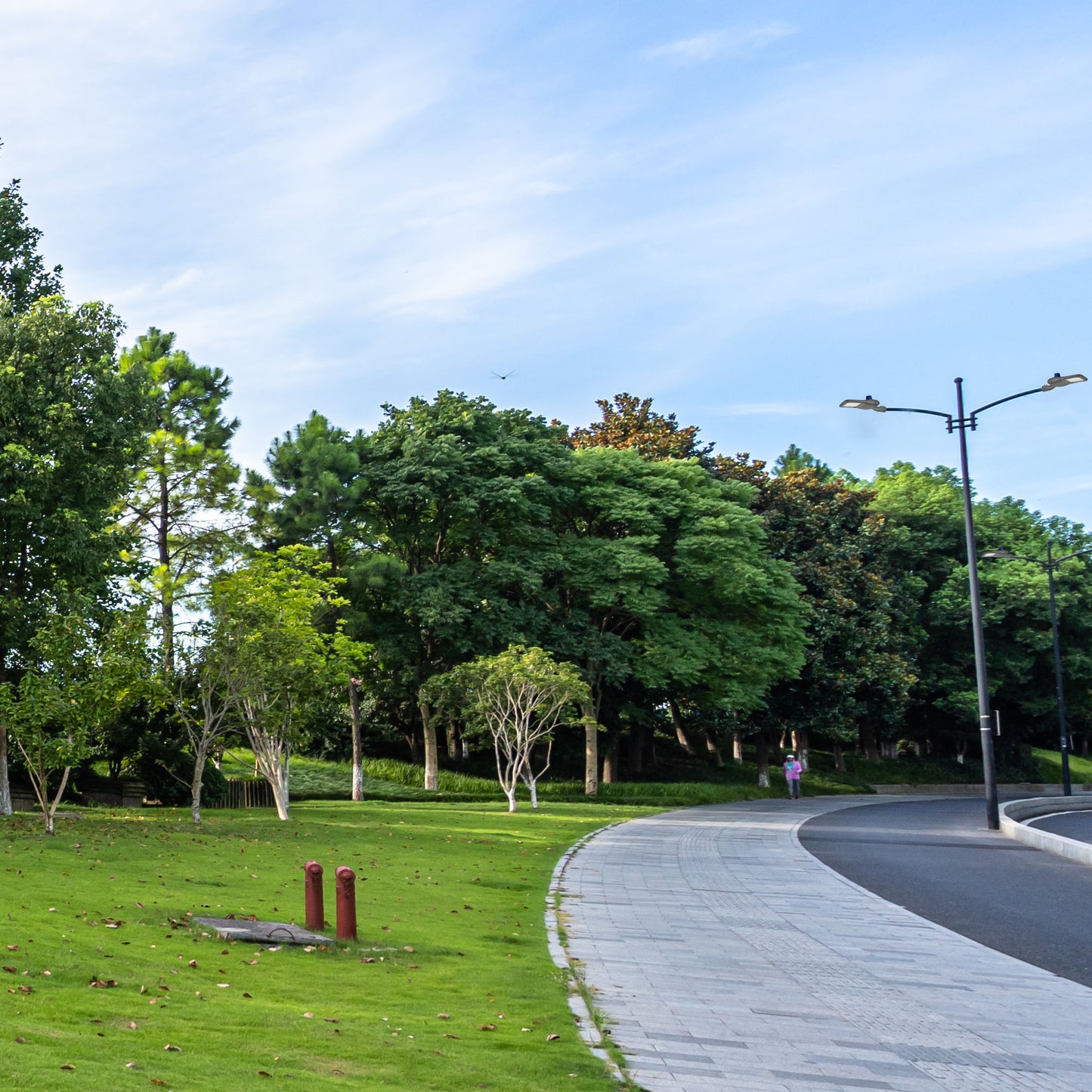 Уличный LED Светильник Street Light (Серый, 5700K)