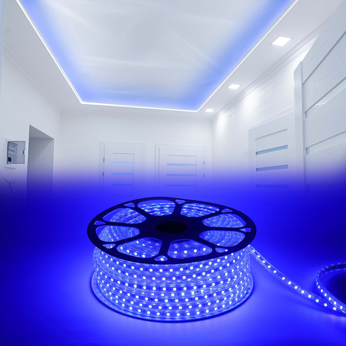 LED Lenta 5050-60L 8W 220V BLUE (HAIGER) 50m