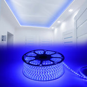 LED Lenta 5050-60L 8W 220V BLUE (HAIGER) 50m