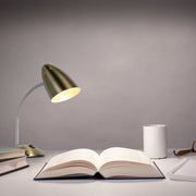 Flex Neck Metal Desk Lamp 4