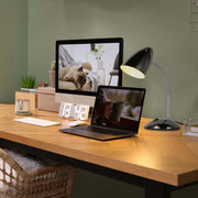 Flex Neck Metal Desk Lamp 5