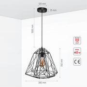Size and specs of Black Wire Cage Pendant Ceiling Light with E27 | TEKLED 150-18087