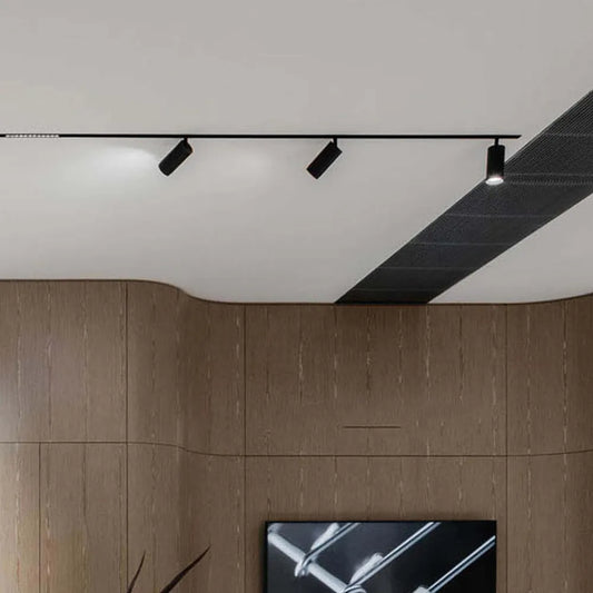 Magnetic Tracklight TEKLED LED Cylinder Magnetic Rotatable Track Light 20W 48V Cool White 4000K Black Finish(TEKLED)-169-03040--169-03040