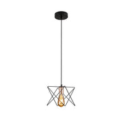 Black metal caged pendant light with e27 main